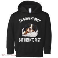 Bernese Mountain Dog Sleep Pajamas Nightgown Toddler Hoodie thumb 0