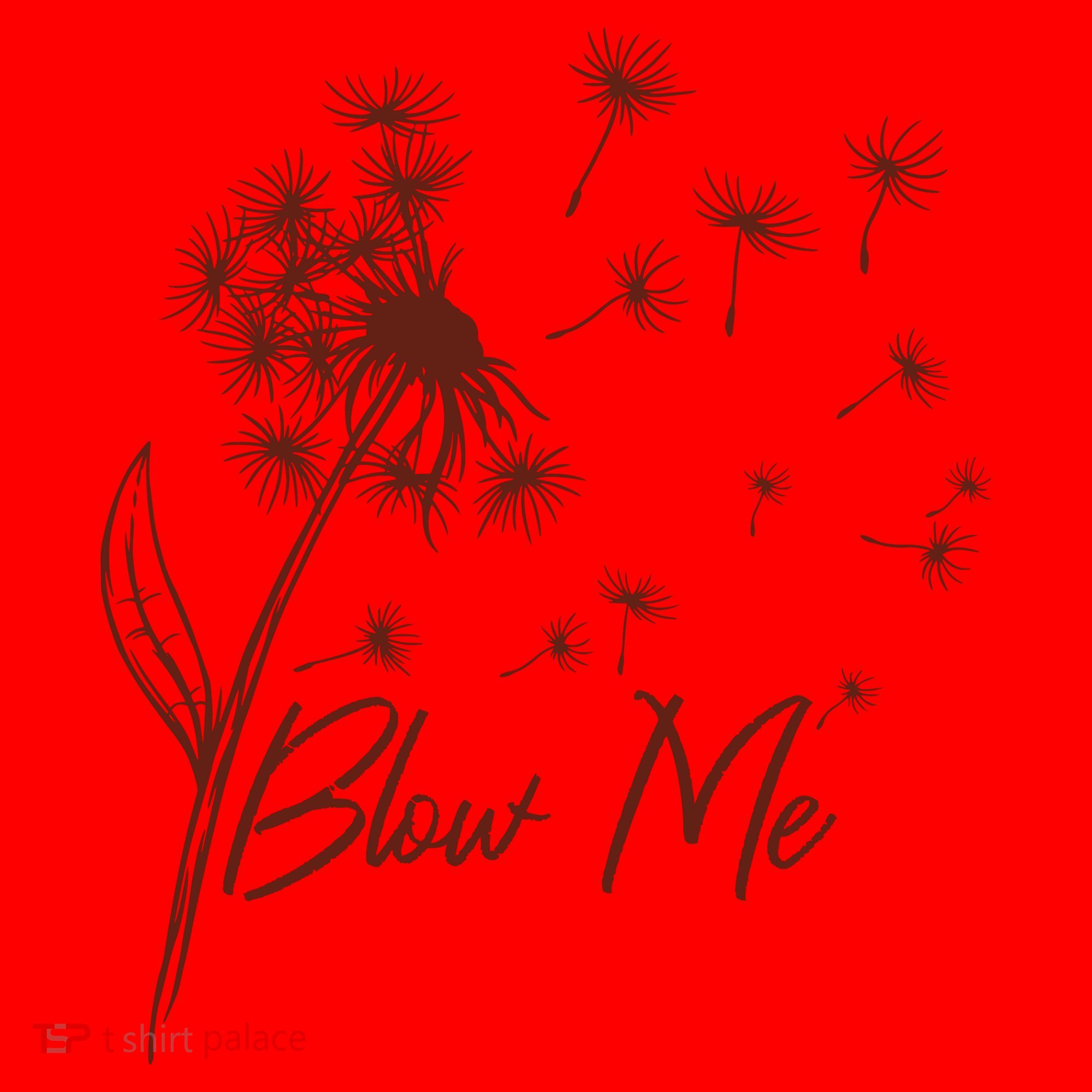 Blow Me Dandelion Funny Santa Hat