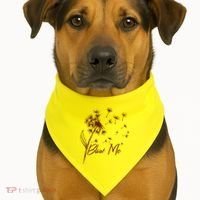 Blow Me Dandelion Funny USA-Made Doggie Bandana thumb 1