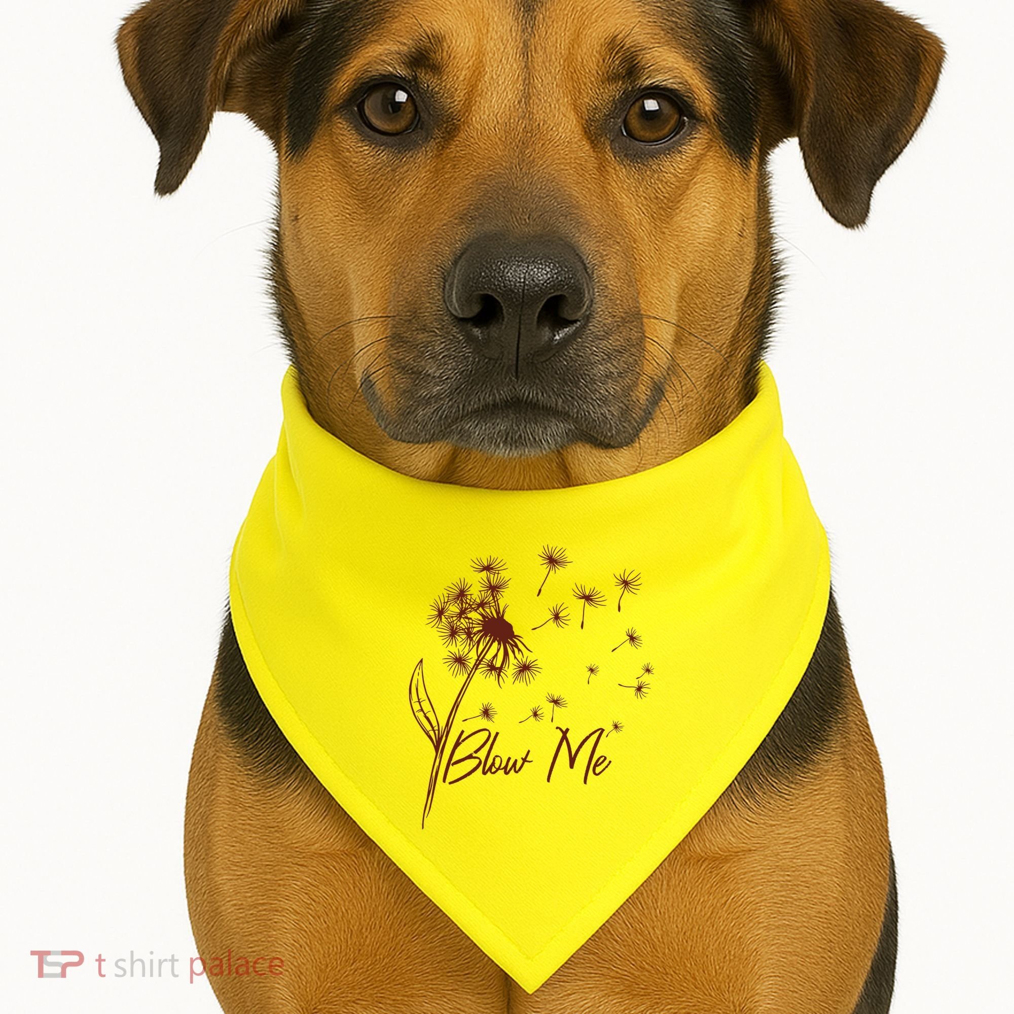 Blow Me Dandelion Funny USA-Made Doggie Bandana