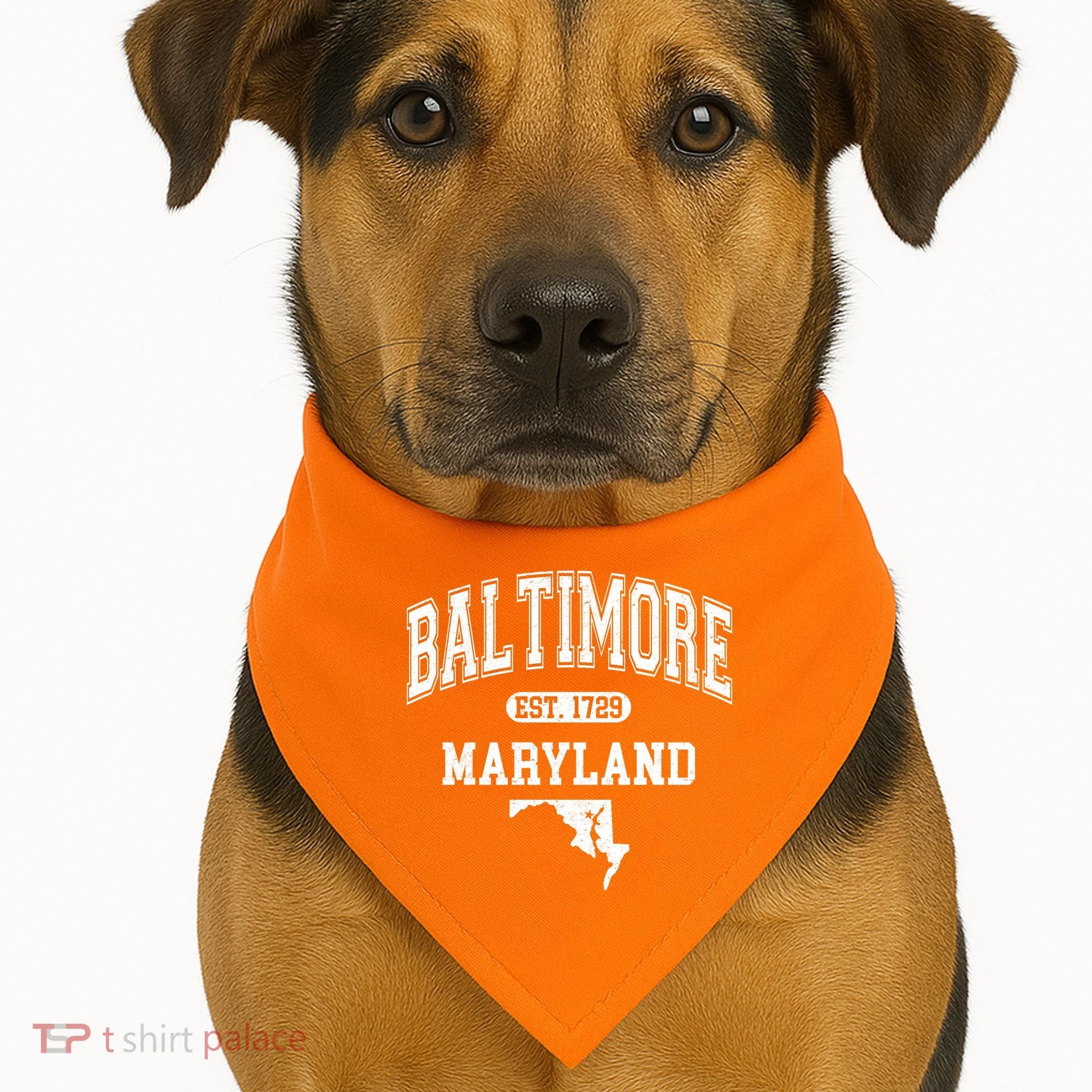 Baltimore Maryland Est. 1729 Varsity USA-Made Doggie Bandana