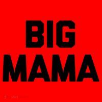Big Mama Gift Funny Saying Sarcastic Novelty Cute Mom Great Gift Santa Hat thumb 1