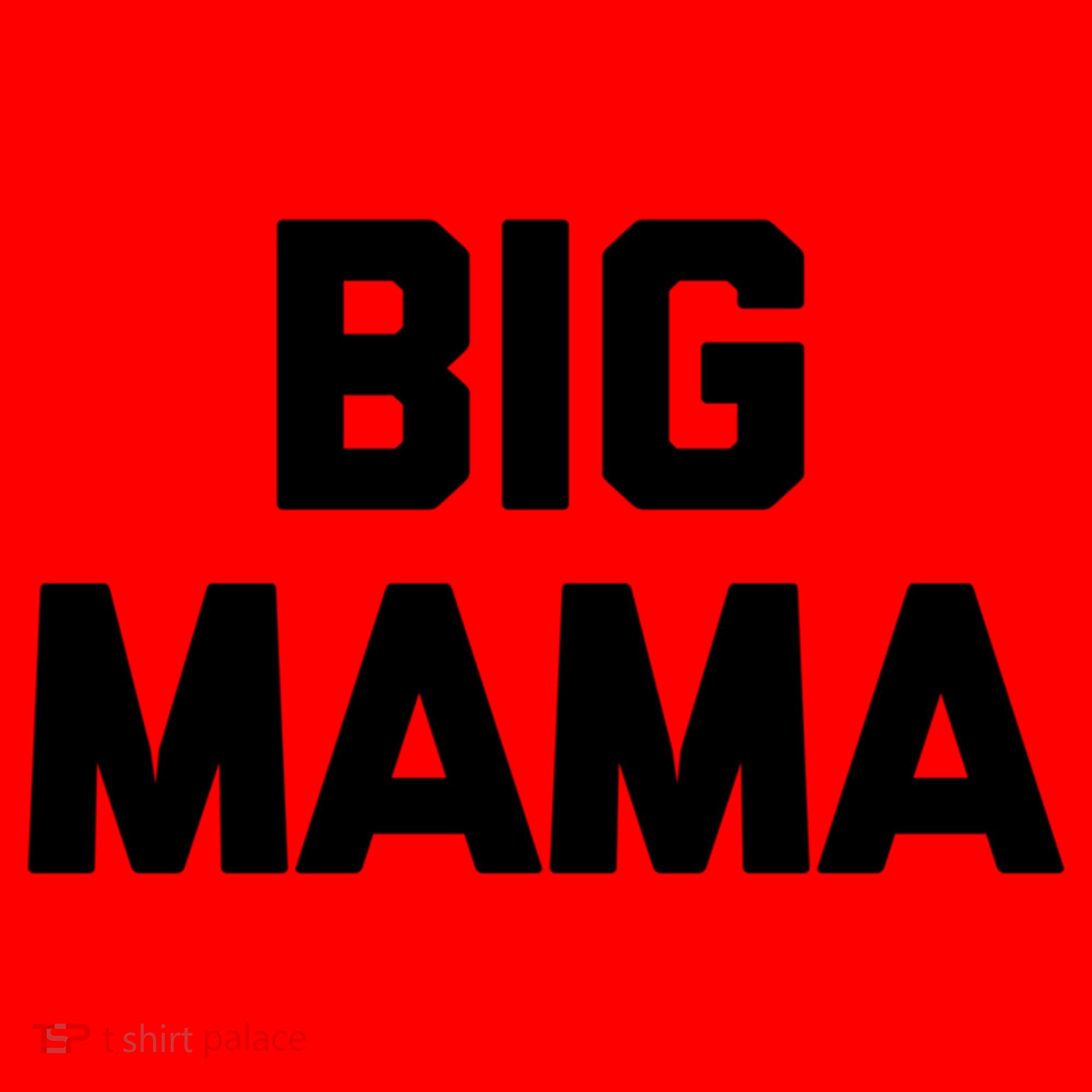 Big Mama Gift Funny Saying Sarcastic Novelty Cute Mom Great Gift Santa Hat