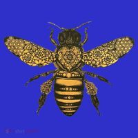 Beekeeper Meaningful Gift Honeycomb Honey Bee Compass Beekeeping Great Gift Toddler T-Shirt thumb 4
