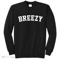 Breezy Merch Gear Sweatshirt thumb 0