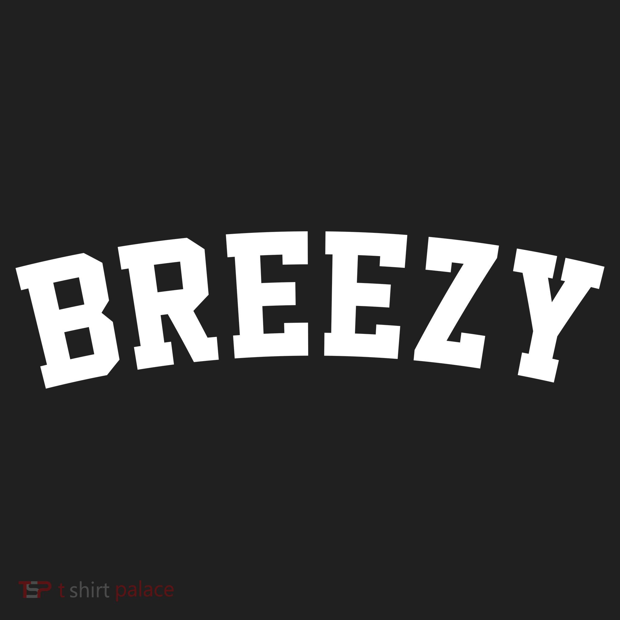 Breezy Merch Gear Beanie