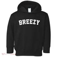 Breezy Merch Gear Toddler Hoodie thumb 0