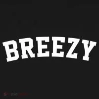 Breezy Merch Gear Toddler Hoodie thumb 2