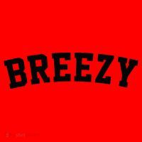 Breezy Merch Gear Santa Hat thumb 1