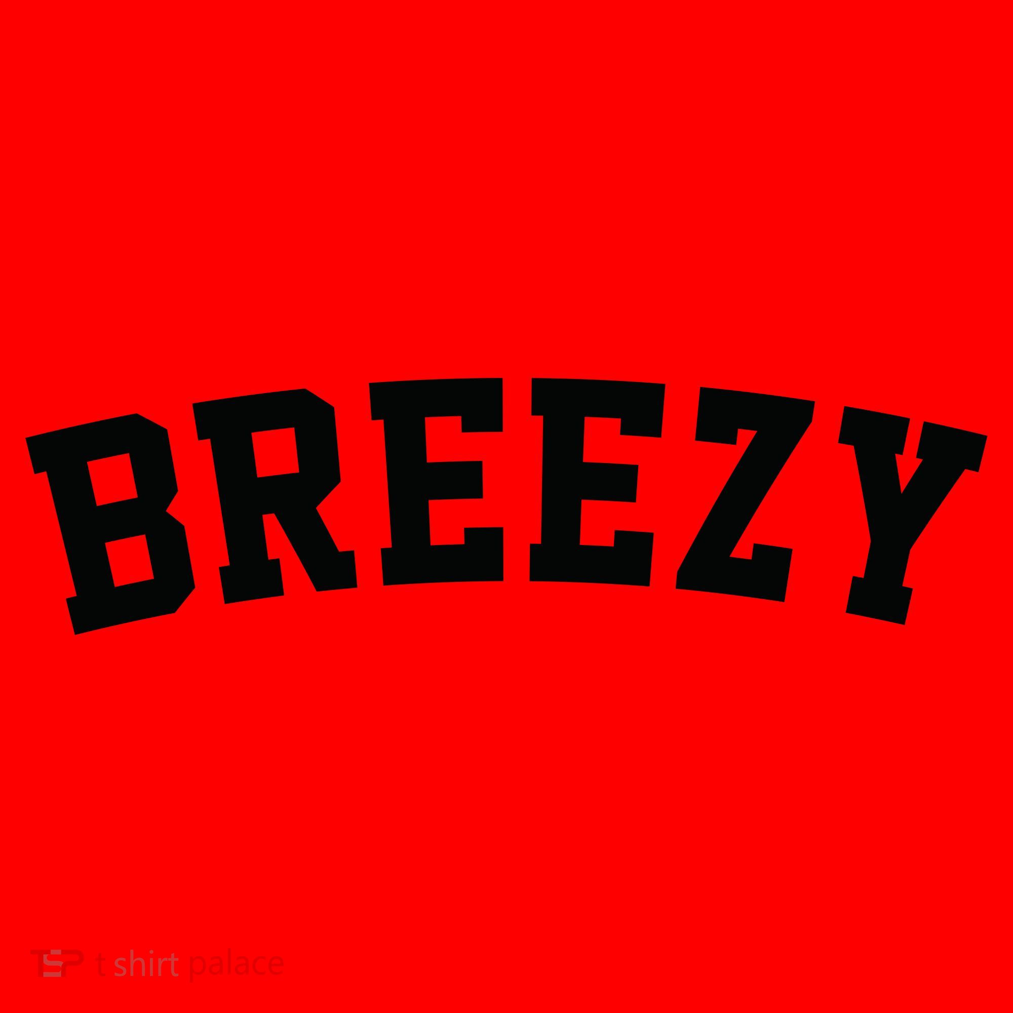 Breezy Merch Gear Santa Hat