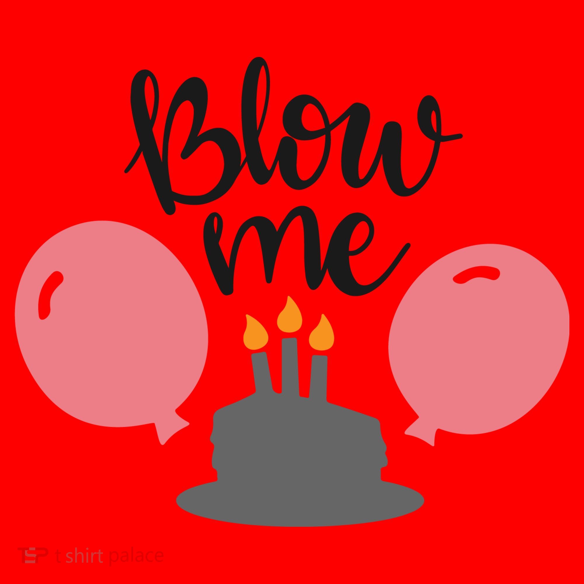 Blow Me Hilarious Trendy Birthday Santa Hat