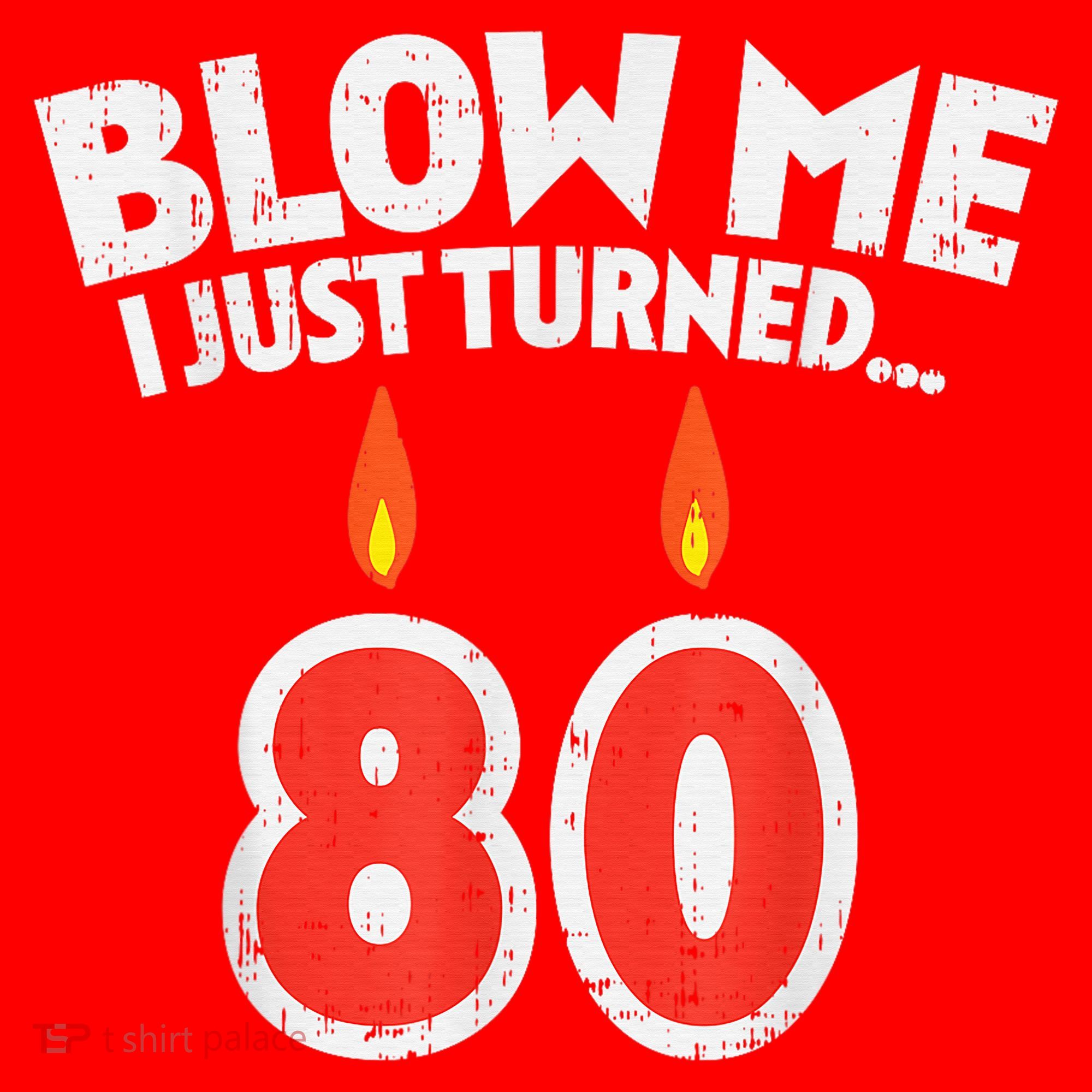 Blow Me I Turned 80 80th Birthday Gag Party Santa Hat