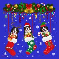 Bernese Mountain In Sock Xmas Reindeer Santa Elf Dog Gift Sweatshirt thumb 3