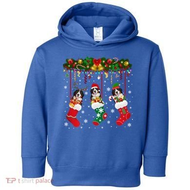 Bernese Mountain In Sock Xmas Reindeer Santa Elf Dog Gift Toddler Hoodie