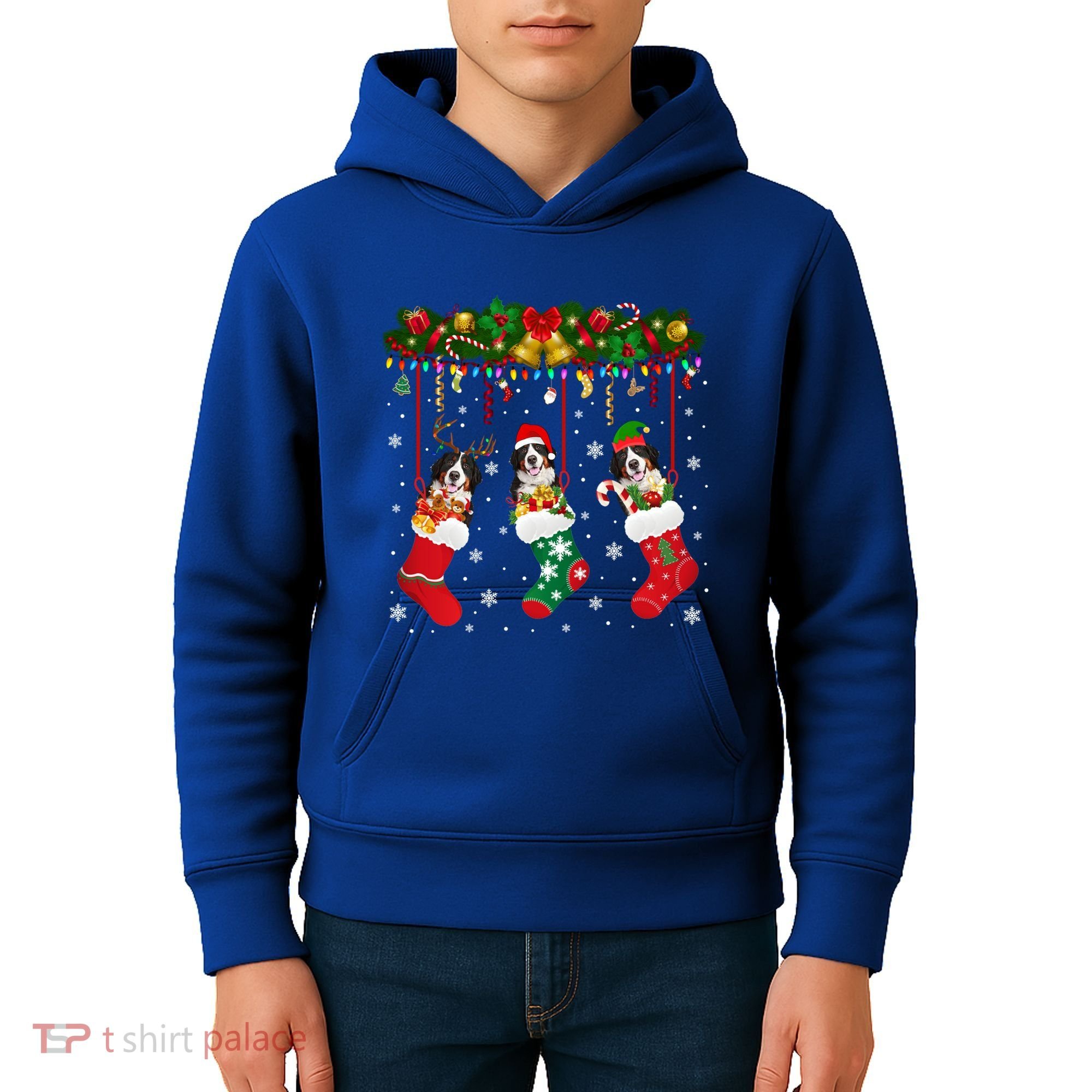 Bernese Mountain In Sock Xmas Reindeer Santa Elf Dog Gift Kids Hoodie
