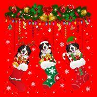 Bernese Mountain In Sock Xmas Reindeer Santa Elf Dog Gift Santa Hat thumb 1