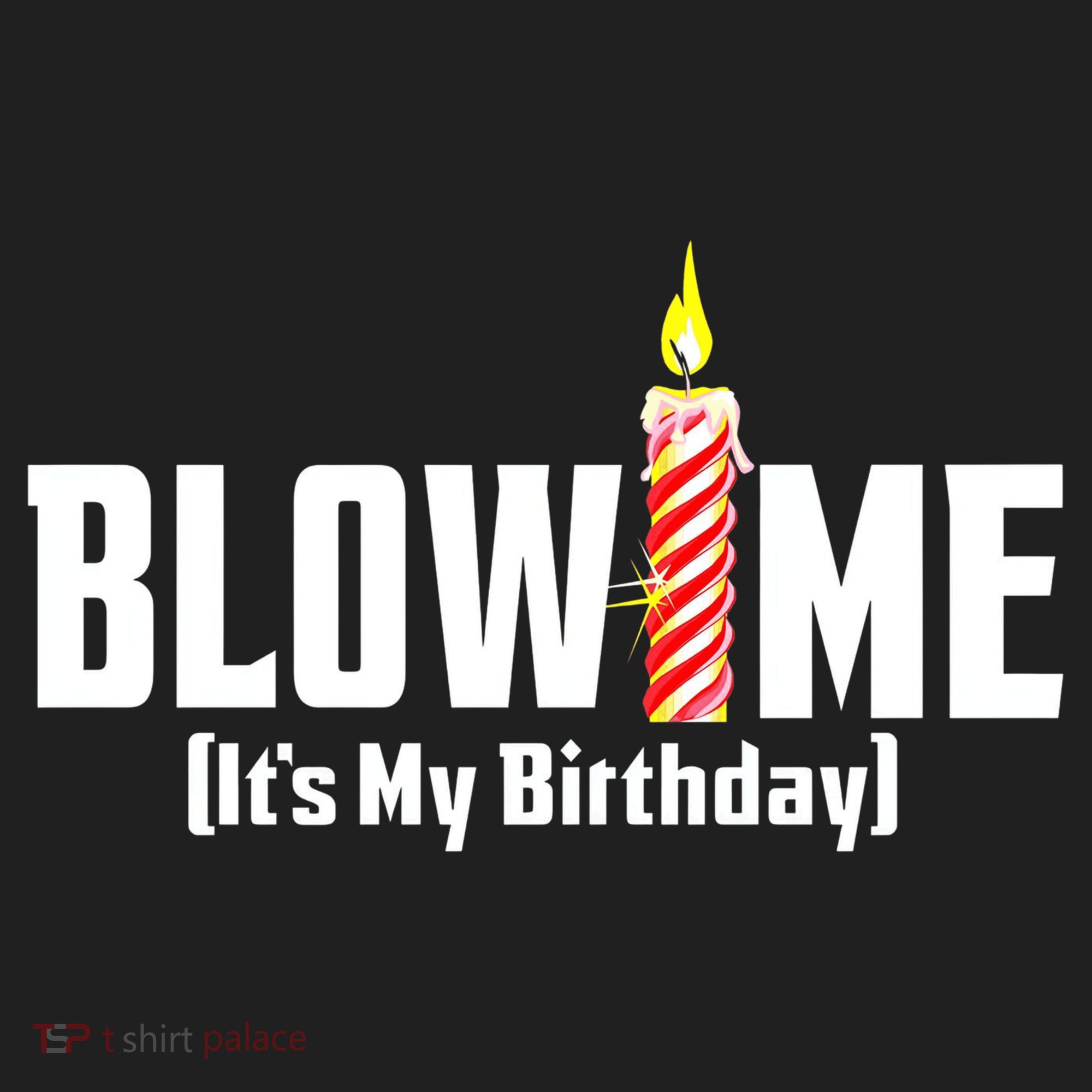 Blow Me Its My Birthday Hat