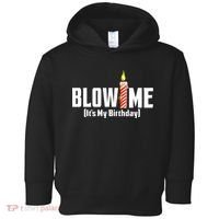 Blow Me Its My Birthday Toddler Hoodie thumb 0