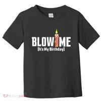 Blow Me Its My Birthday Toddler T-Shirt thumb 0