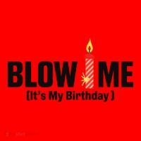 Blow Me Its My Birthday Santa Hat thumb 1