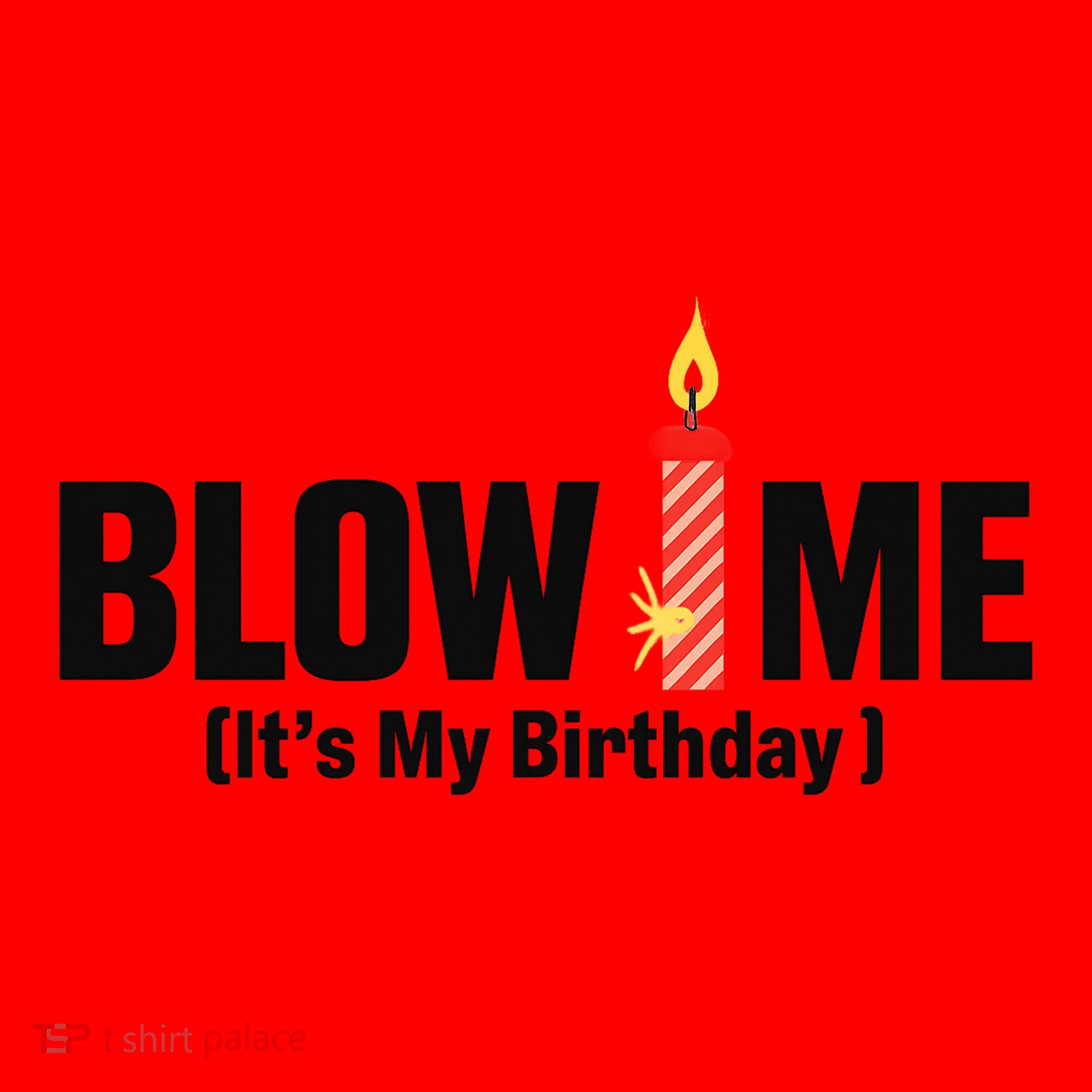 Blow Me Its My Birthday Santa Hat