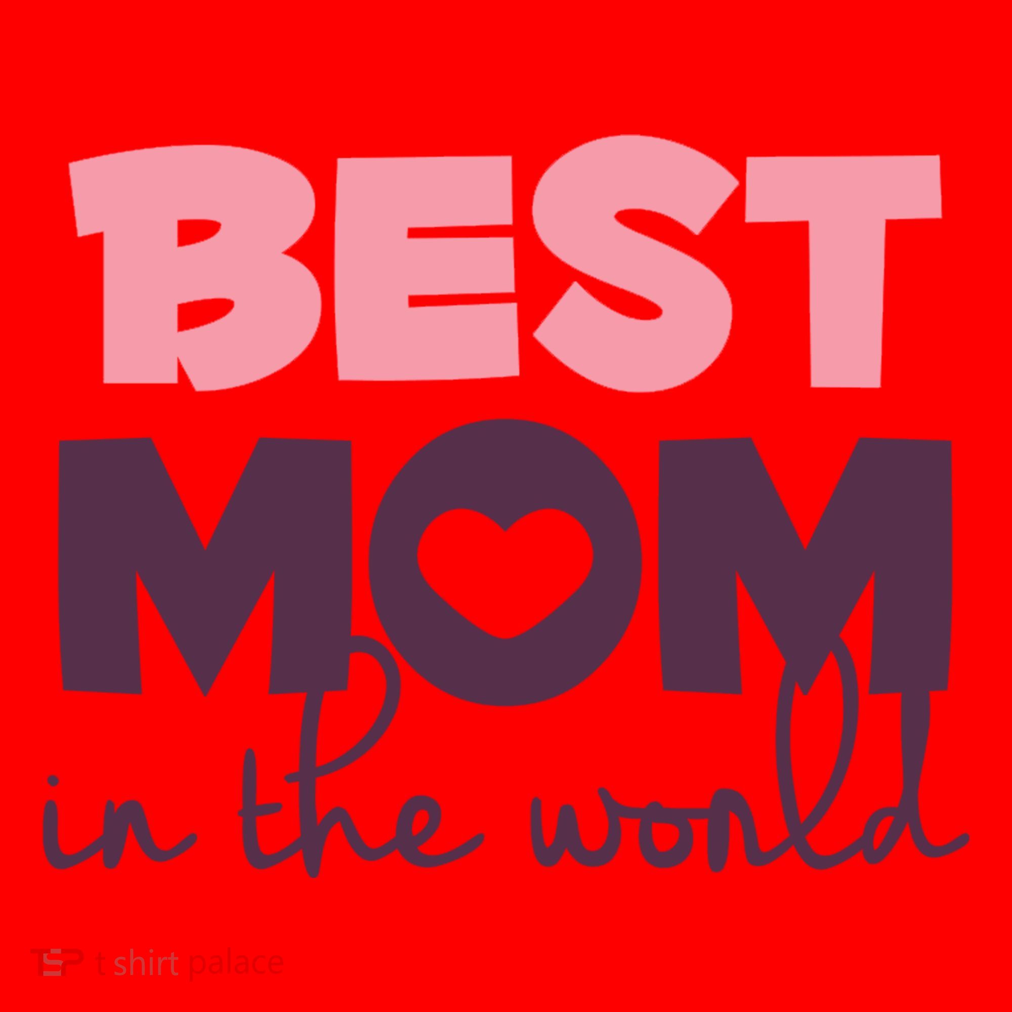 Best Mom In The World Gift Santa Hat