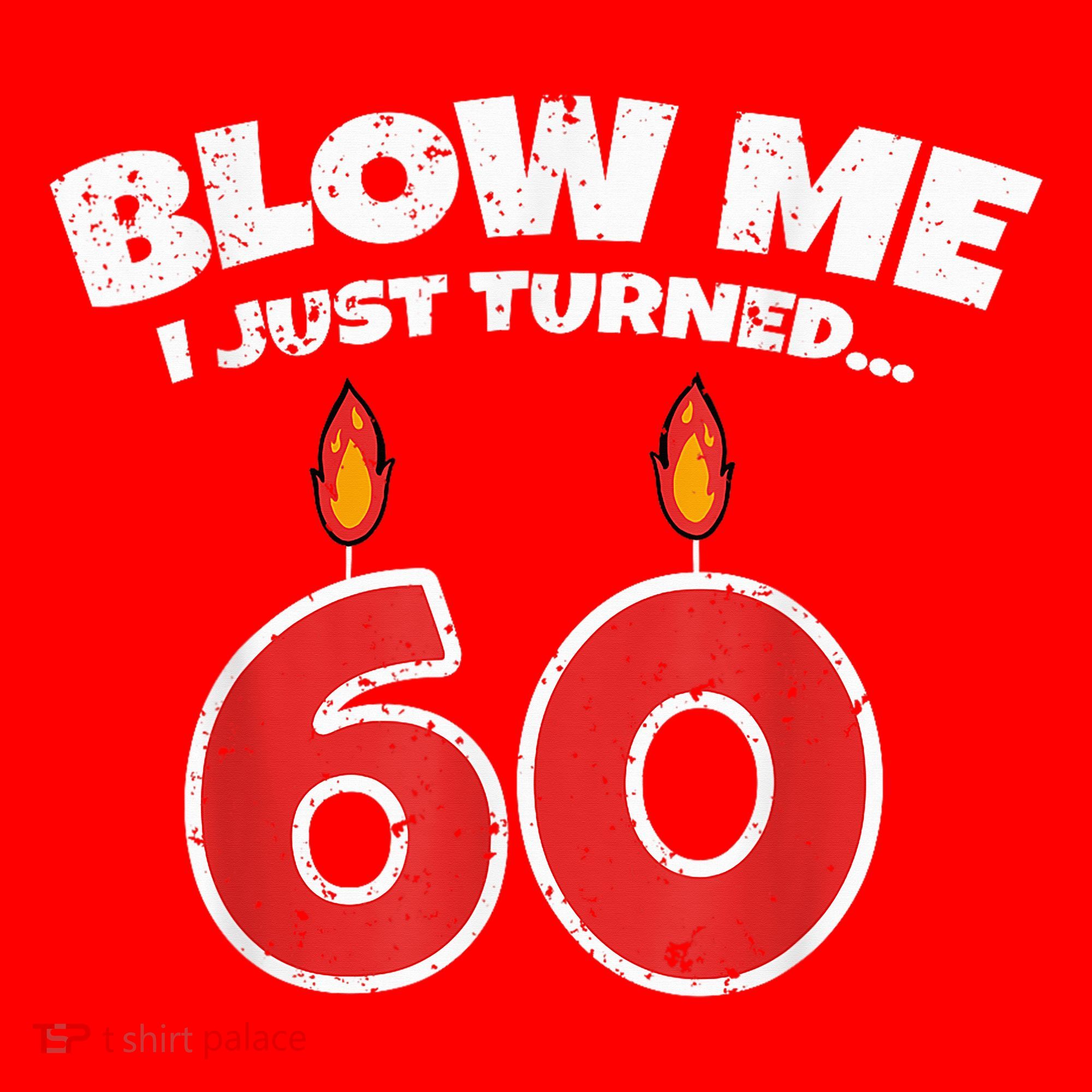 Blow Me I Just Turned 60 60th Birthday 60 Years Old Santa Hat
