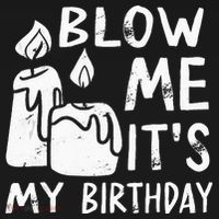 Blow Me It´s My Birthday Ingenious Funny USA-Made Doggie Bandana thumb 2