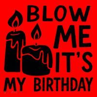 Blow Me It´s My Birthday Ingenious Funny Santa Hat thumb 1