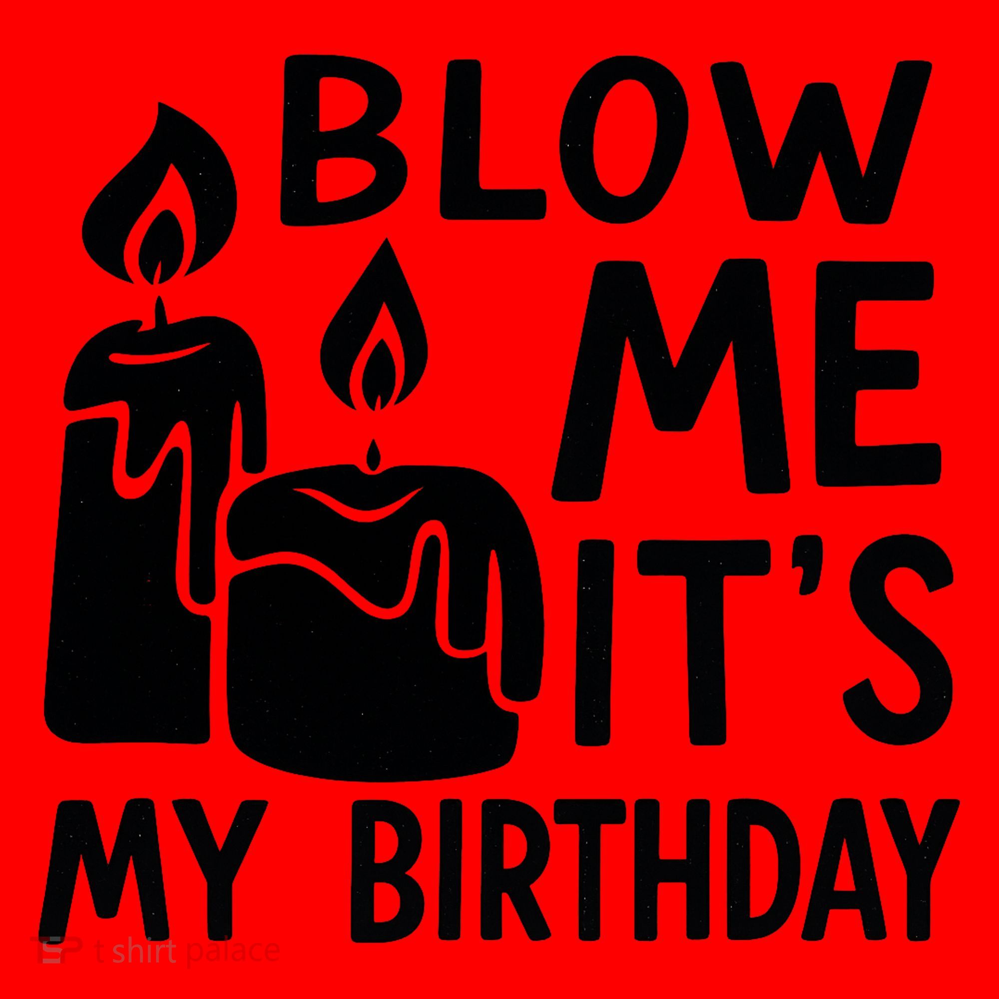 Blow Me It´s My Birthday Ingenious Funny Santa Hat