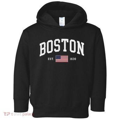 Boston Massachusetts July 4th Us Flag Retro Throwback Toddler Hoodie