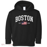 Boston Massachusetts July 4th Us Flag Retro Throwback Toddler Hoodie thumb 0