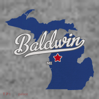Baldwin Michigan Lake County Mi Map Toddler Hoodie thumb 2