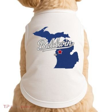 Baldwin Michigan Lake County Mi Map Doggie Tank