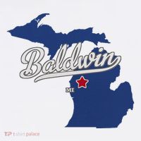 Baldwin Michigan Lake County Mi Map Button thumb 1