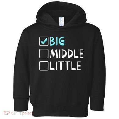 Big Middle Little Big Brother Toddler Hoodie