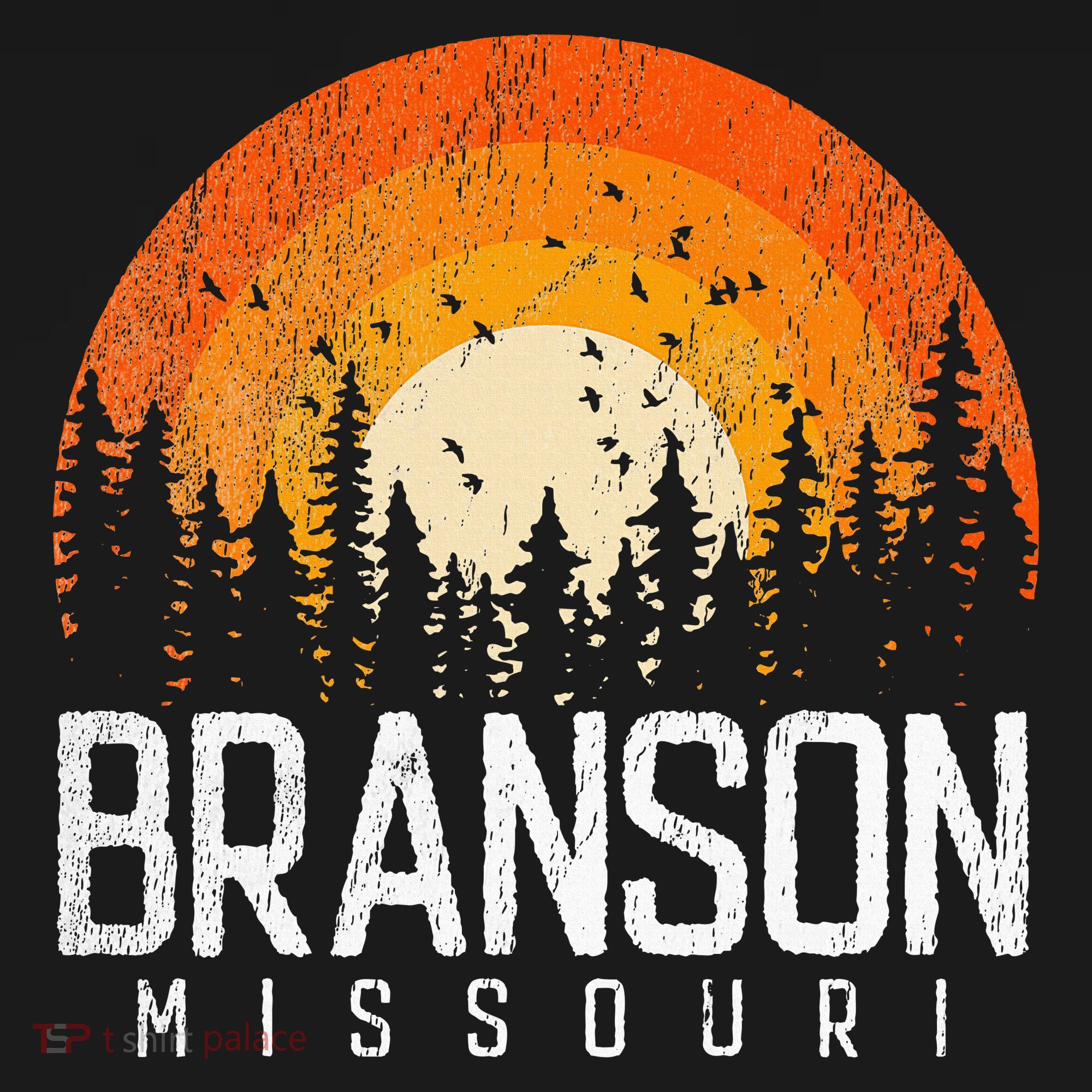 Branson Missouri Mo Retro Vintage 70s 80s 90s T-Shirt