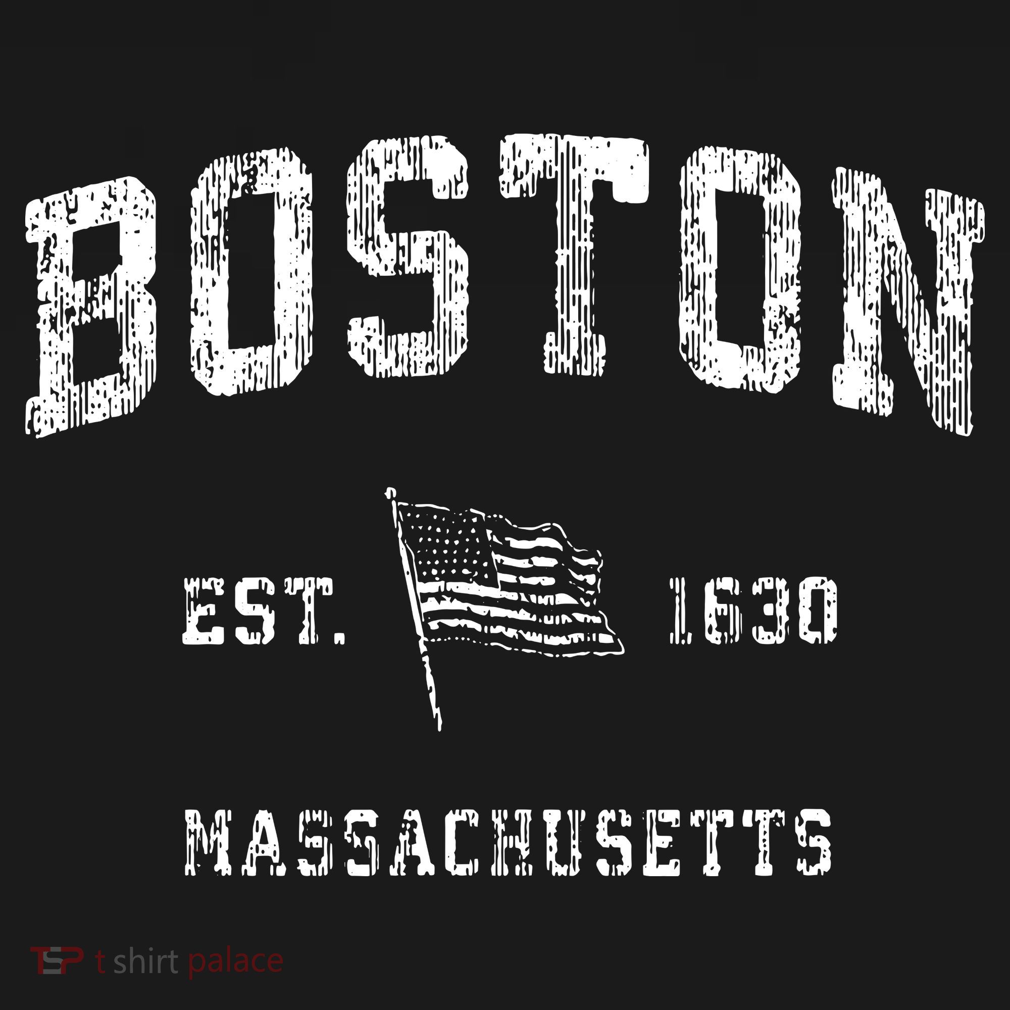 Boston Massachusetts Ma Vintage Us Flag Sports T-Shirt