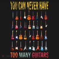 Bass Musician Pick You Can Never Have Too Many Guitars Women's Hoodie thumb 2