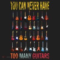 Bass Musician Pick You Can Never Have Too Many Guitars Hat thumb 2