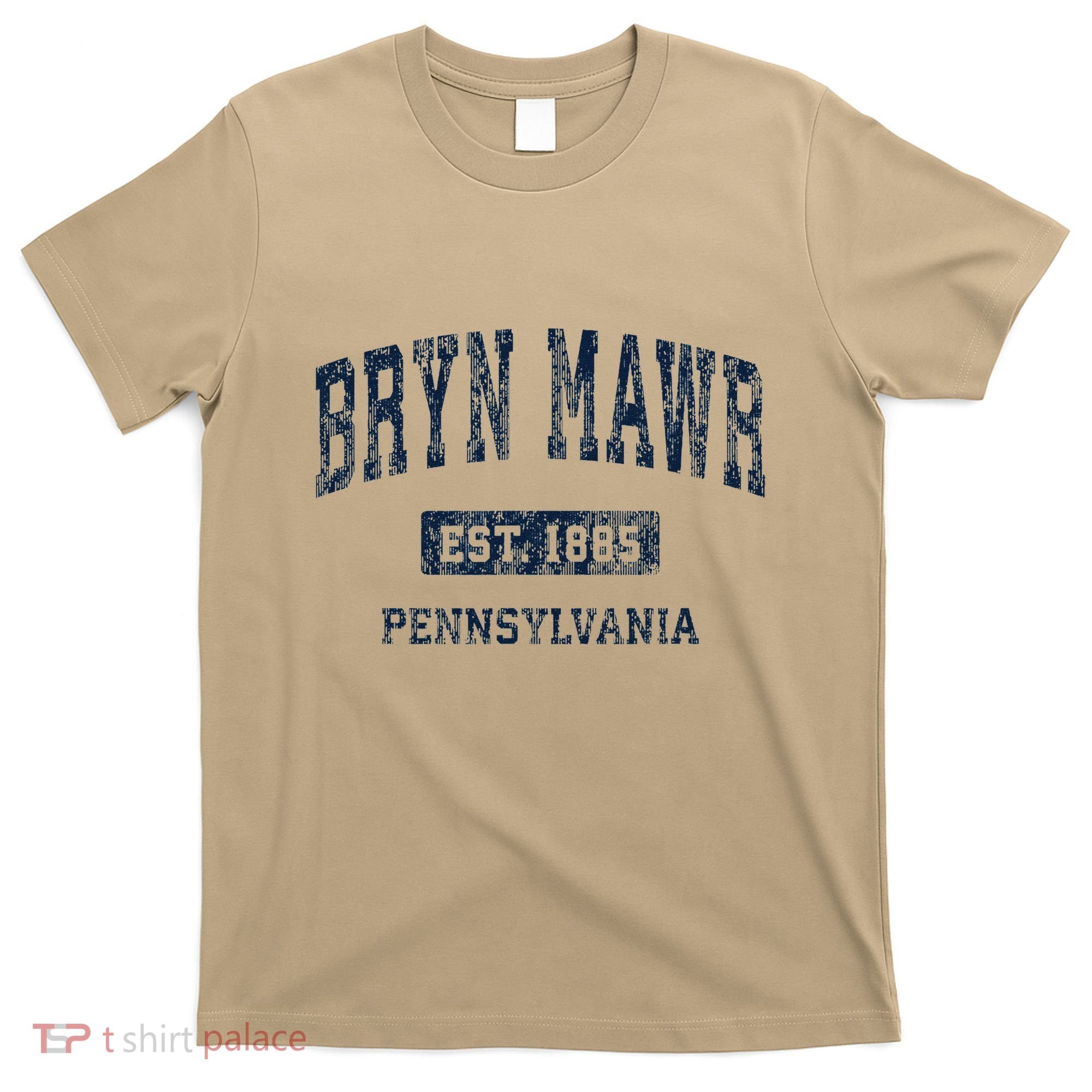Bryn Mawr Pennsylvania Pa Vintage Athletic Sports T-Shirt