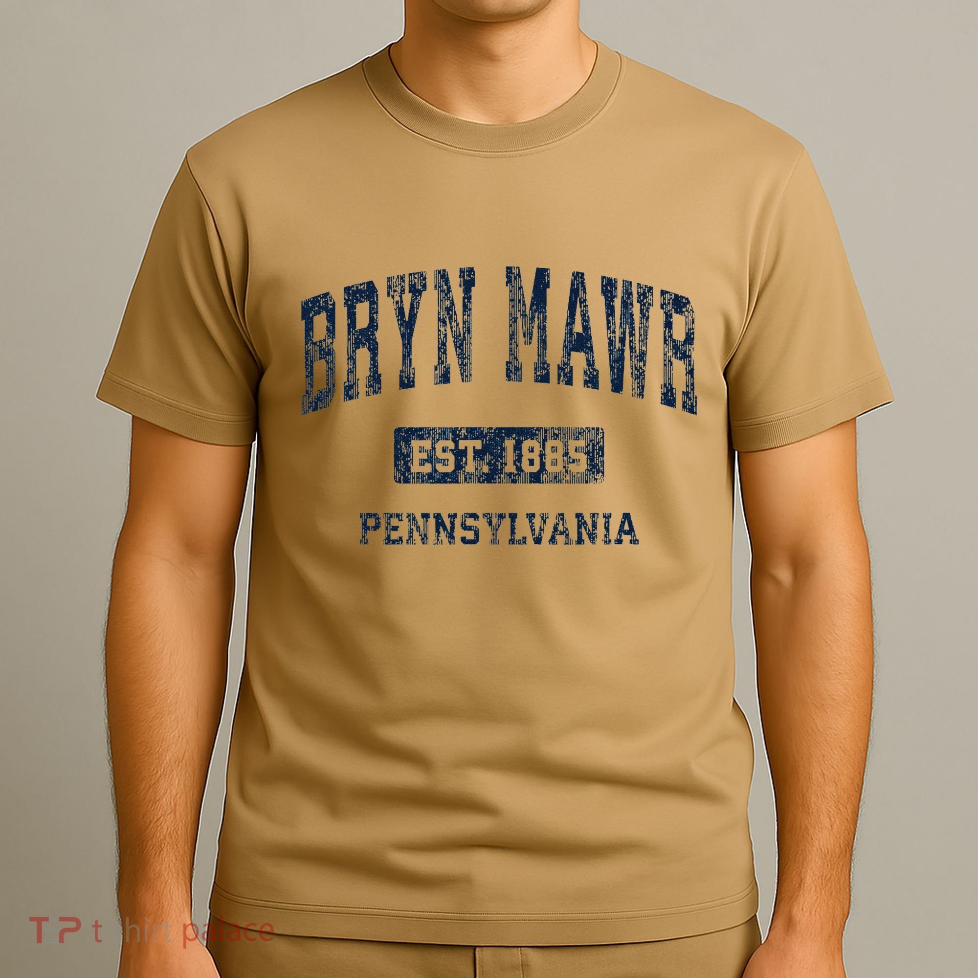 Bryn Mawr Pennsylvania Pa Vintage Athletic Sports T-Shirt