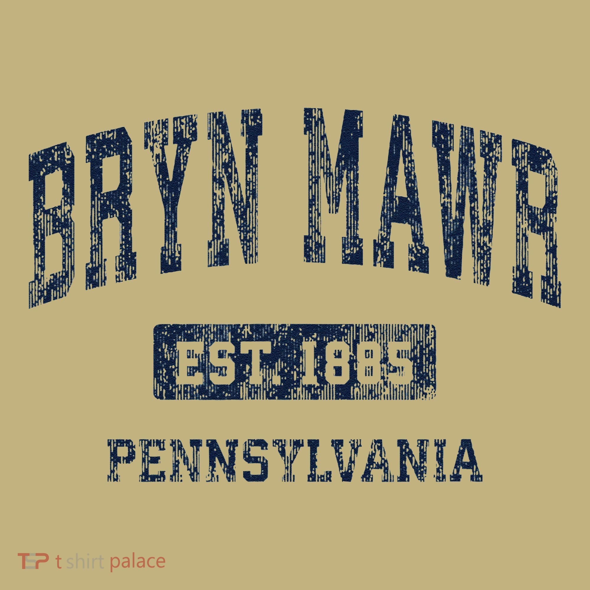 Bryn Mawr Pennsylvania Pa Vintage Athletic Sports T-Shirt