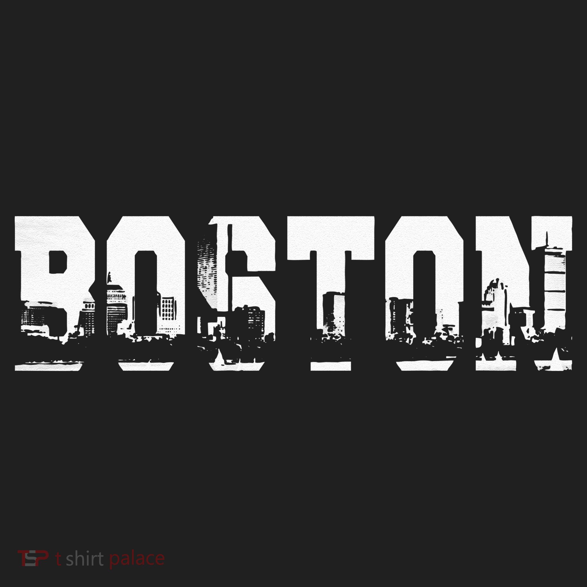 Boston Massachusetts Skyline Graphic Apparel Hat