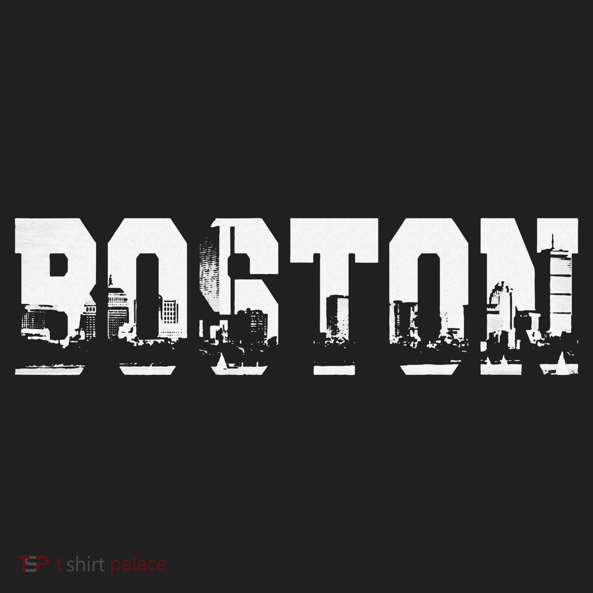 Boston Massachusetts Skyline Graphic Apparel Hat
