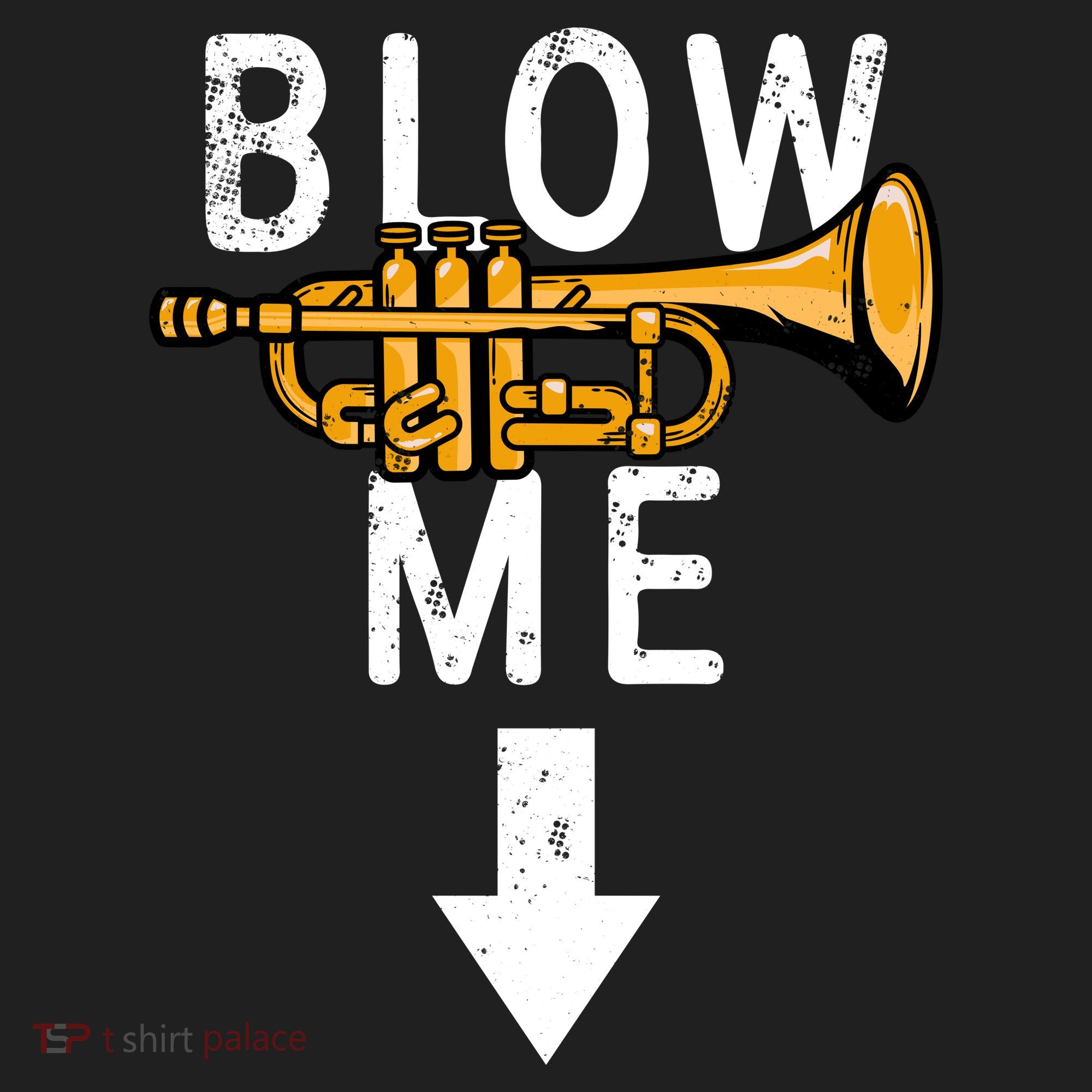 Blow Me Trumpet Funny Gift Hat