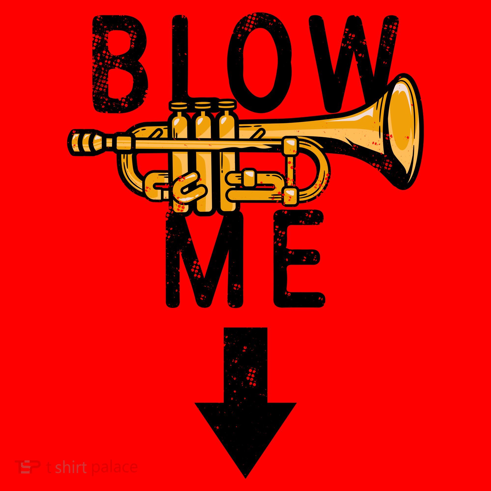 Blow Me Trumpet Funny Gift Santa Hat