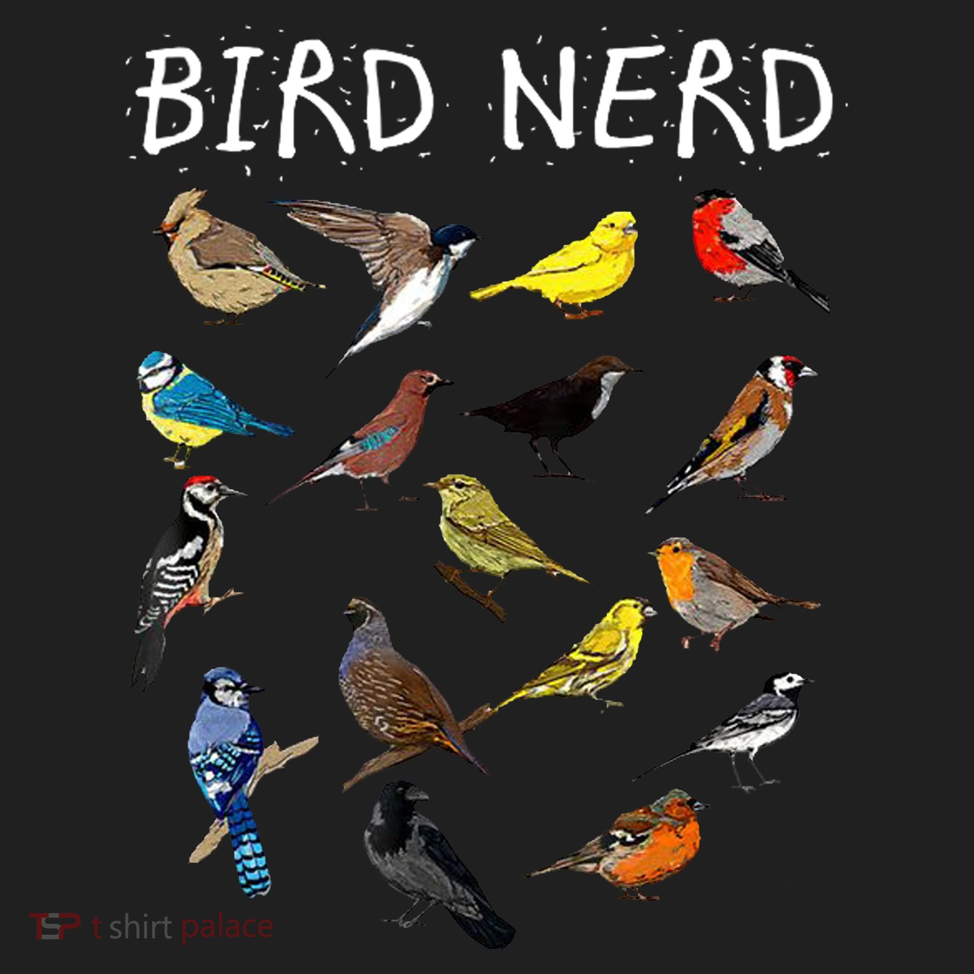 Bird Nerd Women's Sweatshirt