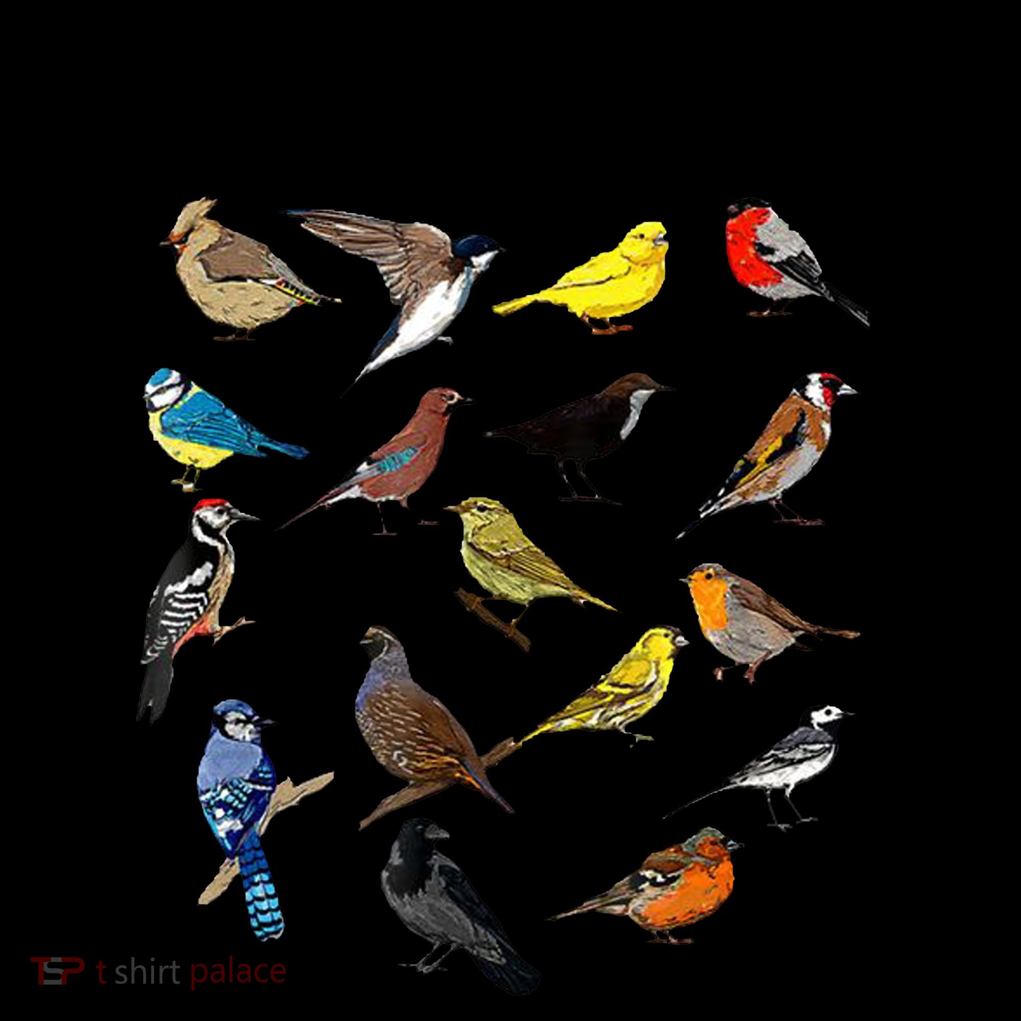 Bird Nerd Coffee Mug