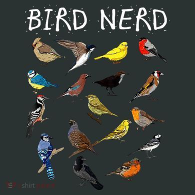 Bird Nerd Infant Baby Jersey Bodysuit